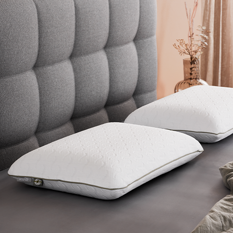 ALMOHADAS ESPECIALES 