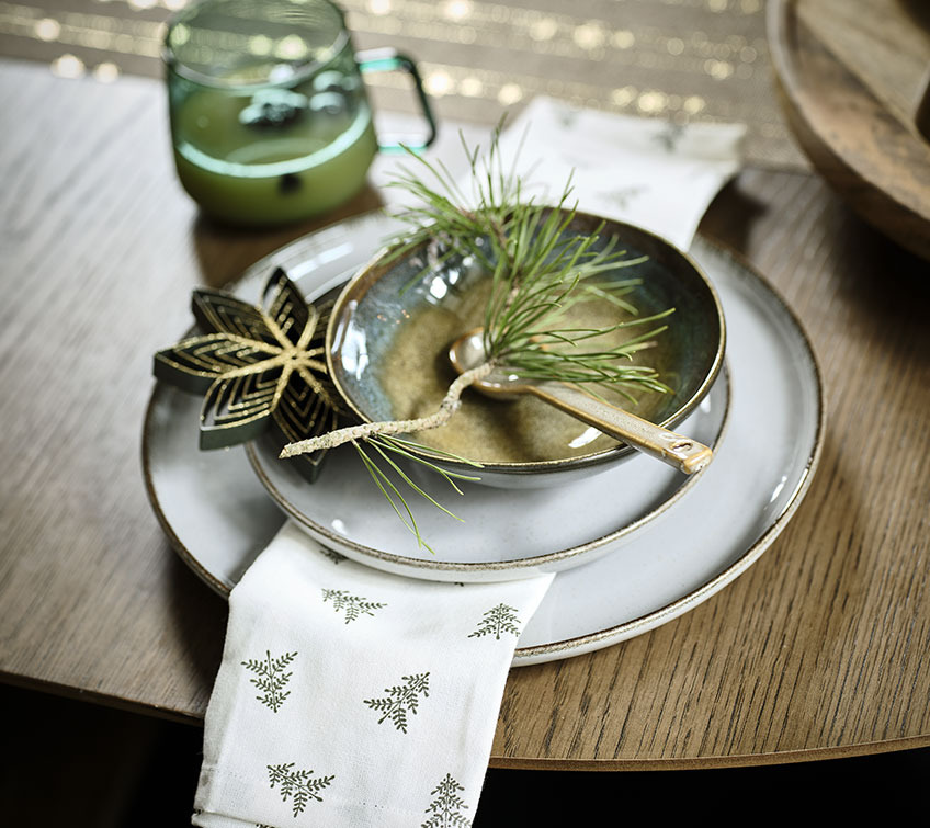 Servicio de mesa con platos, cuenco y servilleta de tela