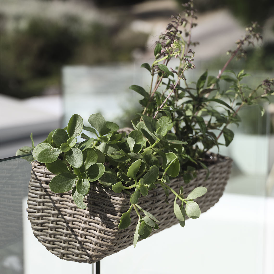 Jardinera para balcón en ratán sintético colgando en un balcón con plantas