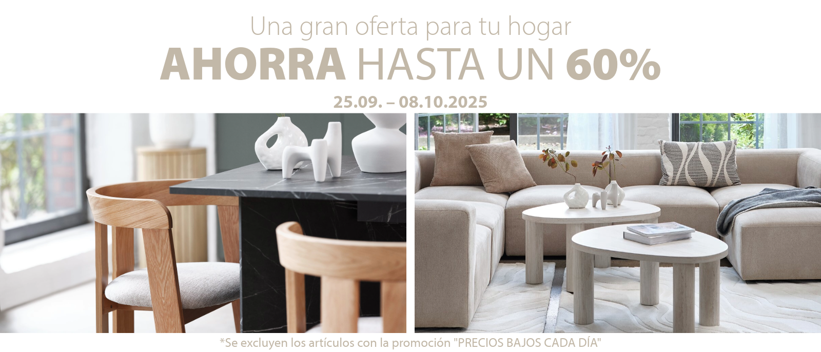 Ver todas las ofertas